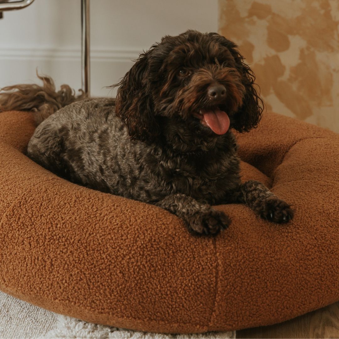 DwellNest™ – Plush Calming Pet Bed