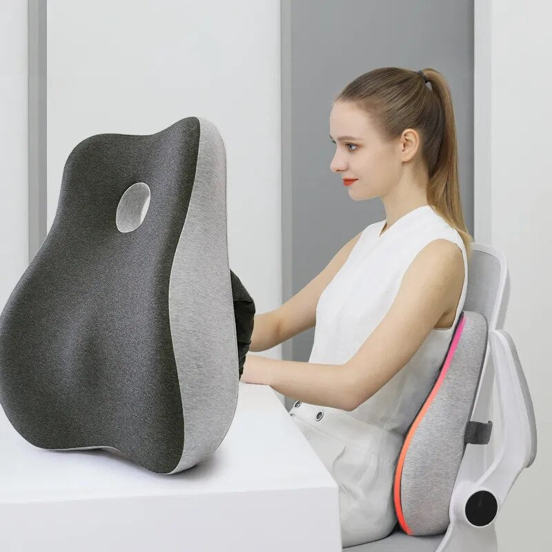 DwellWell™ Ultimate Lumbar Comfort Pillow