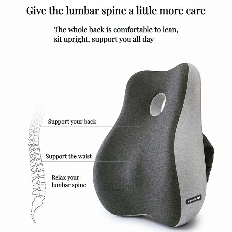 DwellWell™ Ultimate Lumbar Comfort Pillow