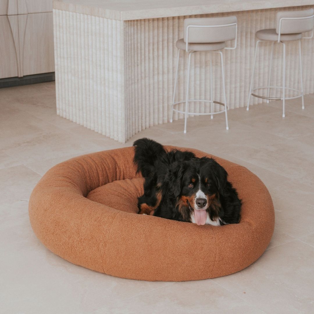 DwellNest™ – Plush Calming Pet Bed